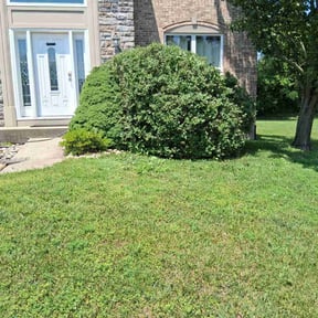 Bush Trimming by J's Lawn and Landscaping reviewed on August 18, 2025