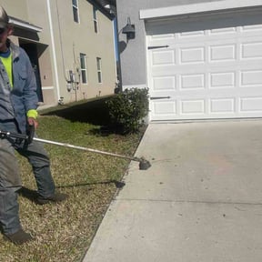 Bush Trimming by Green Sun, Inc. reviewed on February 11, 2026