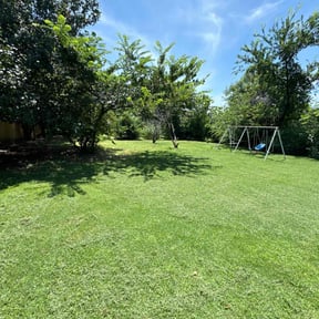 yard work by Zunigas Green Care LLC reviewed on August 17, 2025