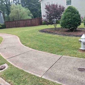 yard care by Sisu lawn care reviewed on August 19, 2025
