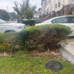 Bush Trimming by BJ&#039;S Lawn Service reviewed on November 6, 2025