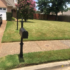 yard maintenance by Marvin Wright reviewed on April 22, 2024