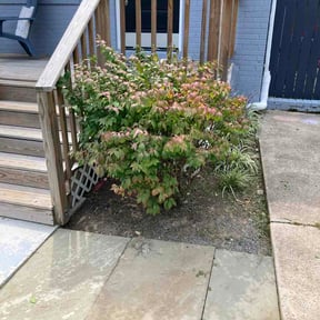 Flower Bed Weeding by Lush Lawns reviewed on August 30, 2026