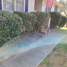 Bush Trimming by Atomic lawn care reviewed on November 23, 2025