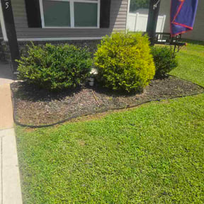 Flower Bed Weeding by Joe blacks landscaping reviewed on August 20, 2026