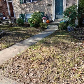 Leaf Removal by 8 Point Services LLC reviewed on December 2, 2025