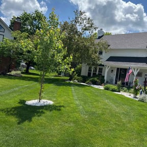 yard care by Jerome Lawn Pros reviewed on May 8, 2024