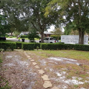 Bush Trimming by Steele Clean reviewed on November 22, 2025