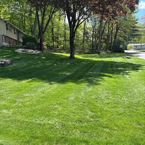 yard service by Botello's Lawn Care Service reviewed on August 13, 2025