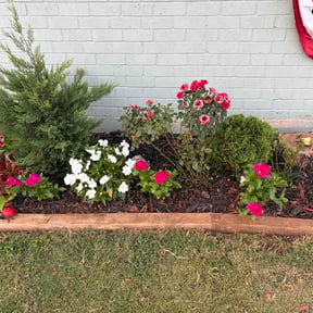 Flower Bed Weeding by Wagners Hauling and Lawn Service reviewed on August 3, 2026