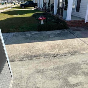 Bush Trimming by CC Landscaping Services LLC reviewed on November 19, 2025