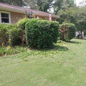 Bush Trimming by Lawn Barber reviewed on June 4, 2026