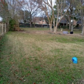 Leaf Removal by KevnLori Professional Lawn Care LLC reviewed on October 2, 2025