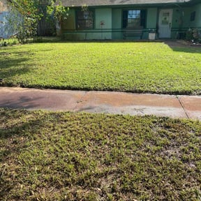 Leaf Removal by Yard of the Month reviewed on September 17, 2025