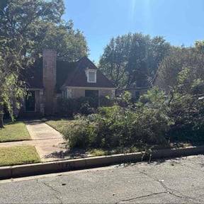 Lawn Mowing by  reviewed on October 10, 2025