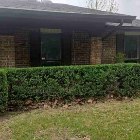 Bush Trimming by WeCare Lawn Service reviewed on August 16, 2025