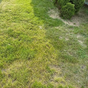 Bush Trimming by Hampton&#039;s Landscaping LLC reviewed on March 15, 2024