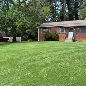 yard maintenance by Flizzy motor reviewed on August 20, 2025
