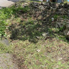 Bush Trimming by JT Lawn Care reviewed on June 5, 2026