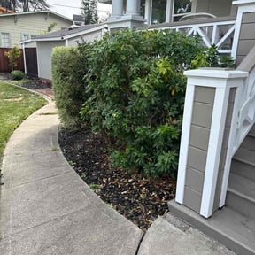 Bush Trimming by Falcon Lawn &amp; Landscape reviewed on November 23, 2025