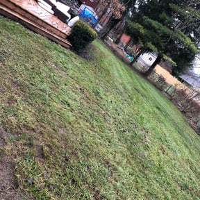 Leaf Removal by KaiTech Landscape reviewed on September 23, 2025