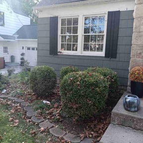 Bush Trimming by H.L.H. reviewed on November 24, 2025