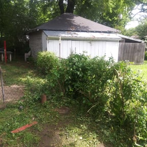 Bush Trimming by Three Kings Grounds Keeping reviewed on August 15, 2025