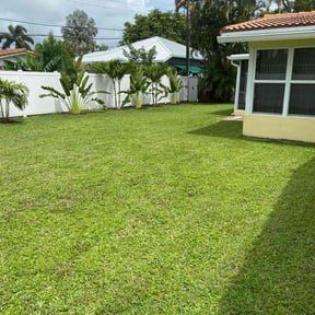 yard care by Q&R landscaping solutions reviewed on August 18, 2025