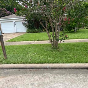 yard service by MiyServices Lawncare, Tree Removal and Construction reviewed on August 21, 2025