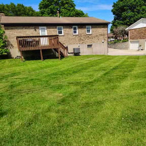 yard work by On Time Handyman Full Service reviewed on November 18, 2025