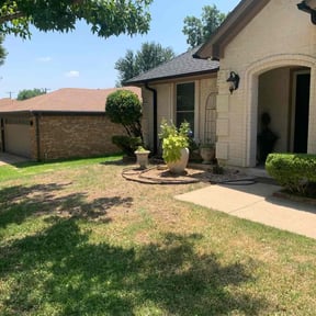 Bush Trimming by Dixon Mow &amp; Trim, LLC reviewed on November 23, 2025