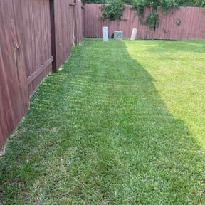 Flower Bed Weeding by The Pettit Regiment Limited Liability Company reviewed on June 30, 2026