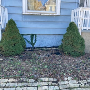 Flower Bed Weeding by Williams landscaping and maintenance servicese reviewed on August 16, 2025