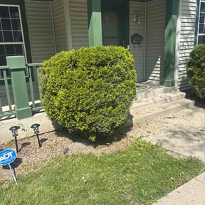 Bush Trimming by Spur Smith Property Services reviewed on May 24, 2026