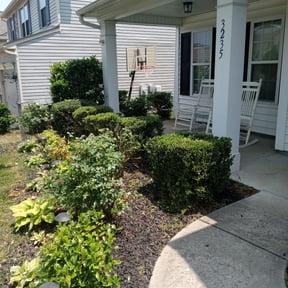 Bush Trimming by Pace Lawn and Garden reviewed on August 17, 2025