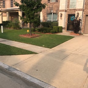 Bush Trimming by EV Great Valley Landscaping,LLC. reviewed on August 18, 2025