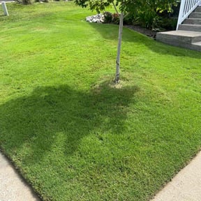 lawn maintenance by Honest Living Cuts &amp;More reviewed on August 15, 2025