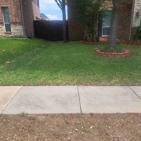 Leaf Removal by Hands On Landscaping and Cleaning reviewed on September 24, 2025