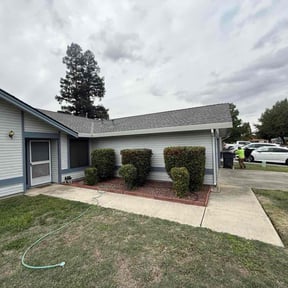 Bush Trimming by Gregory&#039;s lawn &amp; landscape reviewed on November 23, 2025