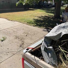 Leaf Removal by Advantage Landscaping reviewed on November 10, 2025