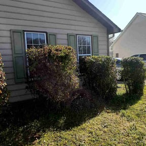 Bush Trimming by Moseley and Son LLC reviewed on August 15, 2025