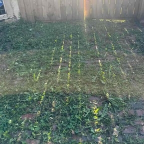 Flower Bed Weeding by Joshua's landscaping reviewed on November 21, 2025