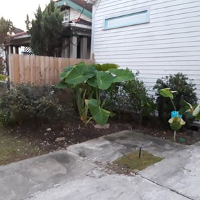 Bush Trimming by Four Seasons Nature Care Services reviewed on August 20, 2025
