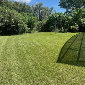 yard maintenance by You need a cut reviewed on August 21, 2025