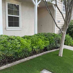 Bush Trimming by McMurray Lawn Care reviewed on May 1, 2026