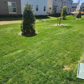 lawn care services by GWP DESIGNS LLC reviewed on August 20, 2025