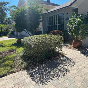 Bush Trimming by Sunscape Lawn Care reviewed on November 4, 2025