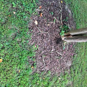 Flower Bed Weeding by Guerrero's Lawn Service reviewed on November 21, 2025