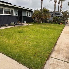 yard work by Florida Green landscaping reviewed on November 22, 2025