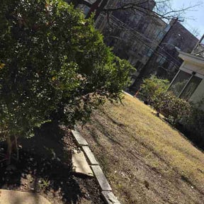 Leaf Removal by Striking Precision lawn service reviewed on March 27, 2026